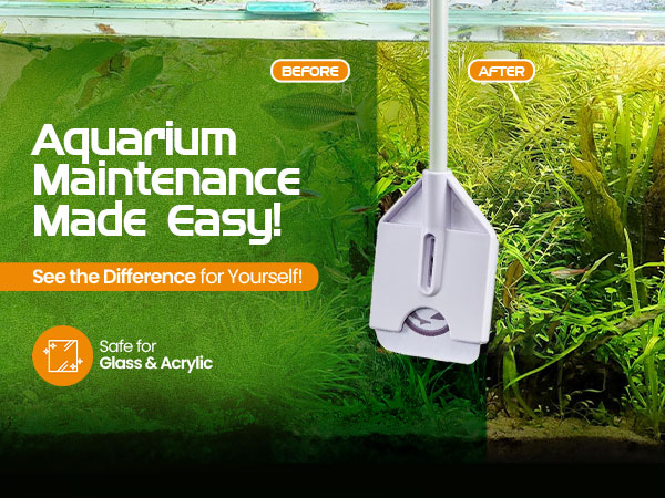 brown algae remover aquarium fish tank cleaner for scraper alge scrubber coralline aquariums