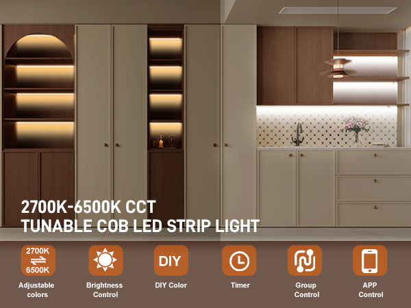 CCT LED STRIP