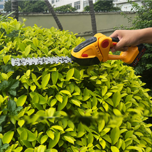 Hedge Trimmer Cordless