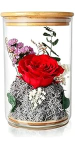 https://m.media-amazon.com/images/S/aplus-media-library-service-media/1e0156c3-43e6-4c36-b149-810991228600.__AC_SR150,300___.jpg