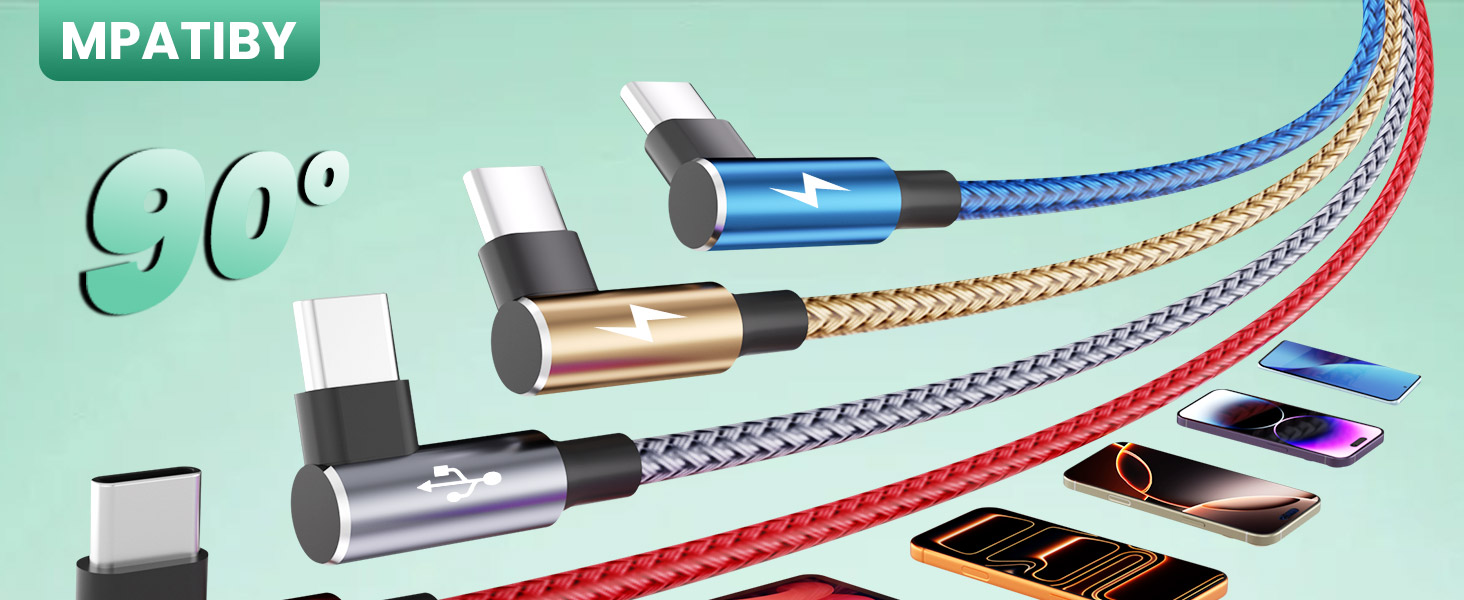 dual usb c cable
