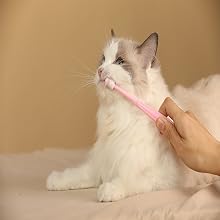 cat toothbrush