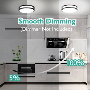 light fixtures ceiling mount