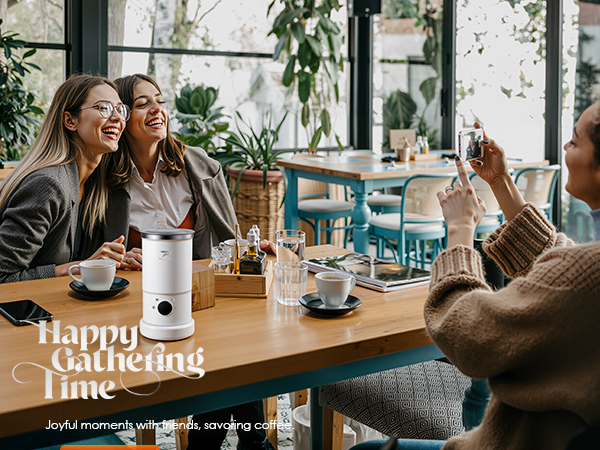 electric milk frother