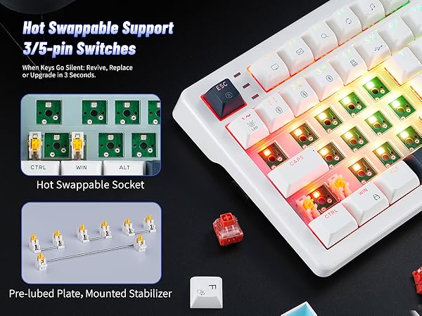 Hot Swappable Support 3/5-pin Switches