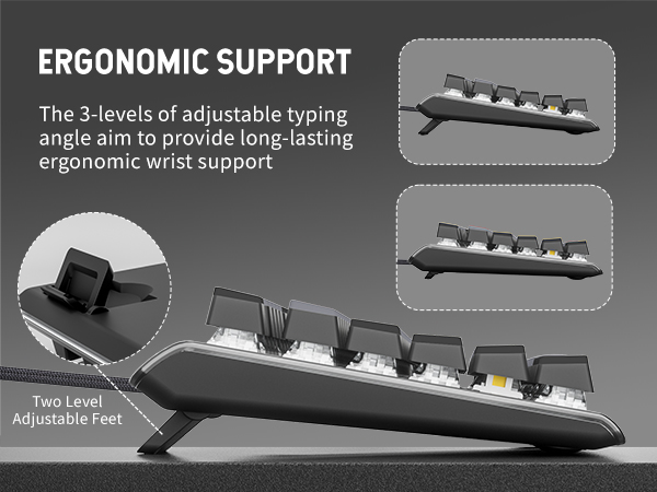 Ergonomic Support