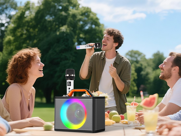 microphone, wireless microphone, wireless microphones, karaoke microphone, karaoke microphones