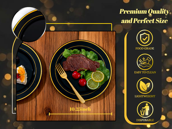 Black and Gold Plastic Dinner Plates