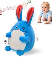 Baby Toys 6-12 Months