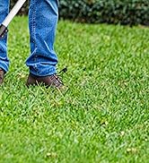 battery powered weed wacker