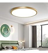 FLETERGIB 12 Inch Gold LED Ceiling Light, 5000K Daylight White, 24W Gold Flush Mount Ceiling Ligh...