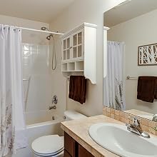 GKETN Small Scrub brush for cleaning your bathroom