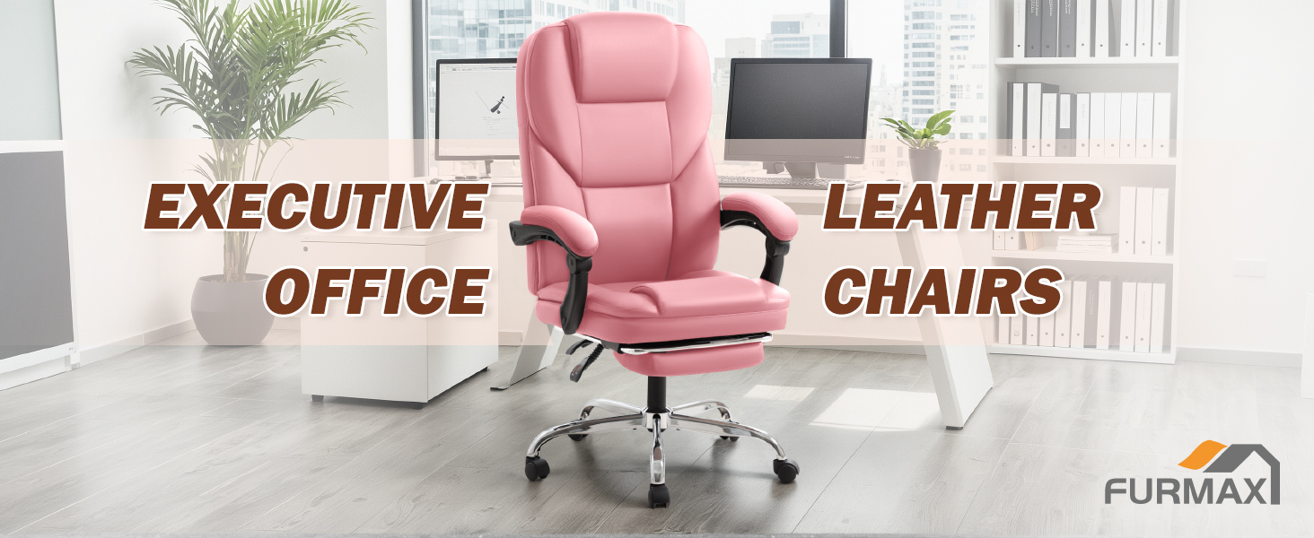 Executive Leather Office