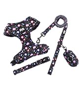 black dog collar harness leash set