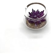 Tiosen Puple Miniature Potted Plant, Artificial Plant Decor for Micro Landscape for Micro Landsca...