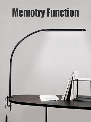 led desk lamp with clamp