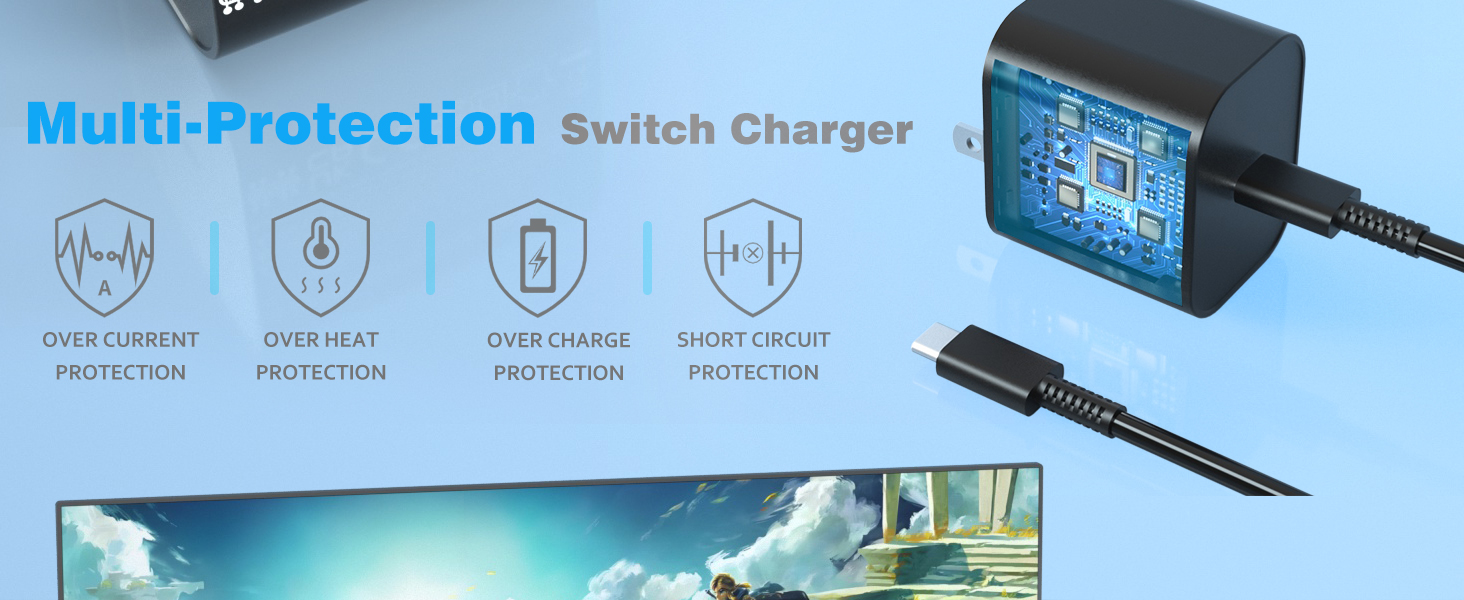 nintendo switch charger