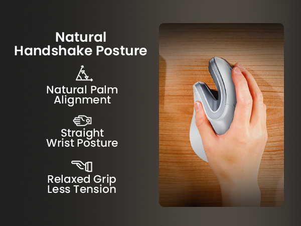 Ergonomic Mouse