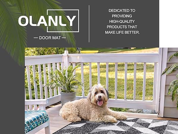 OLANLY entrance Door Mat