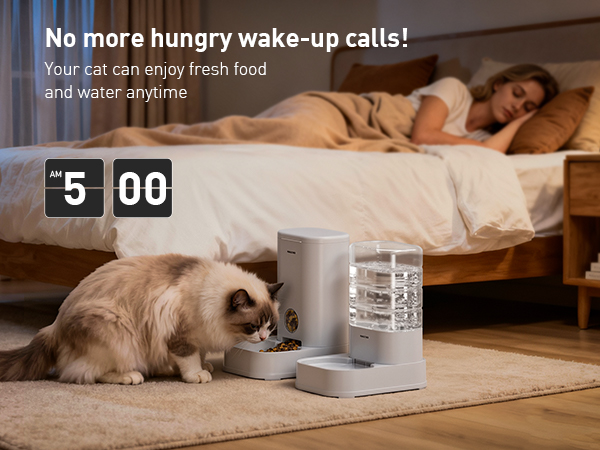 cat feeder automatic