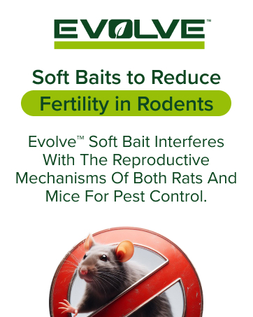 Evolve for Rats and Mice