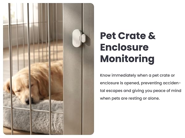 Pet Crate and Enclosure Monitoring