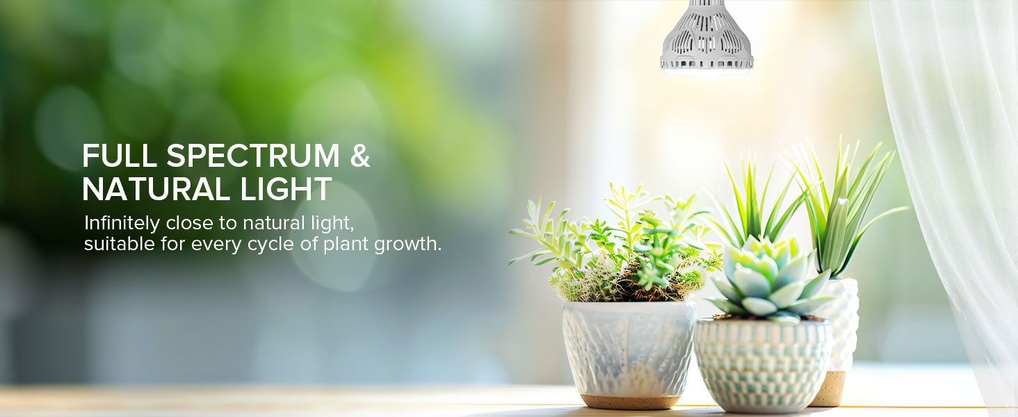 SANSI Scientific Design - Reliable &amp;amp;amp;amp;amp;amp;amp;amp; Safe!