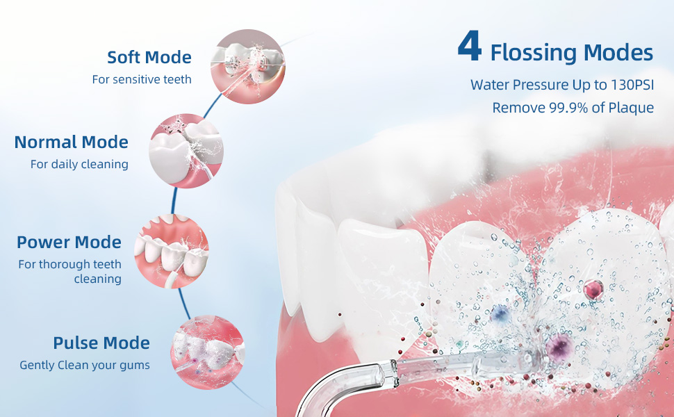 Water Dental Flosser Teeth Pick