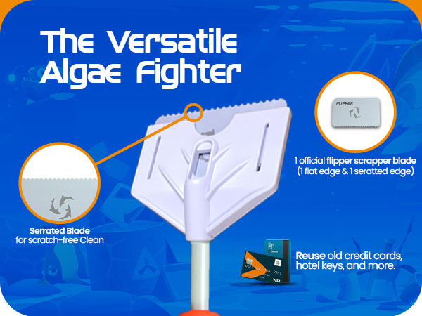 brown algae remover aquarium fish tank cleaner for scraper alge scrubber coralline aquariums