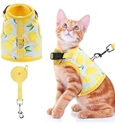 BINGPET Cat Harness and Leash Set Escape Proof for Walking,Step-in Harness with Lightweight Soft ...