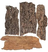 Housoutil Cork Bark, 4PCS Reptile Bark Decoration, Lizard Tank Accessories for Turtles, Lizards, ...