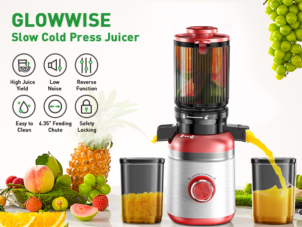 Slow Cold Press Juicer