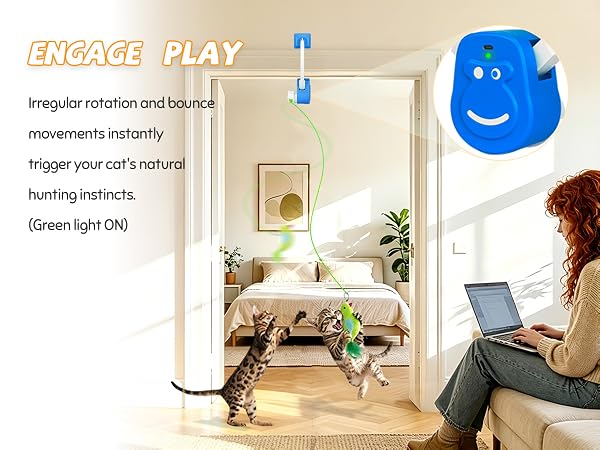 electric cat teaser door frame