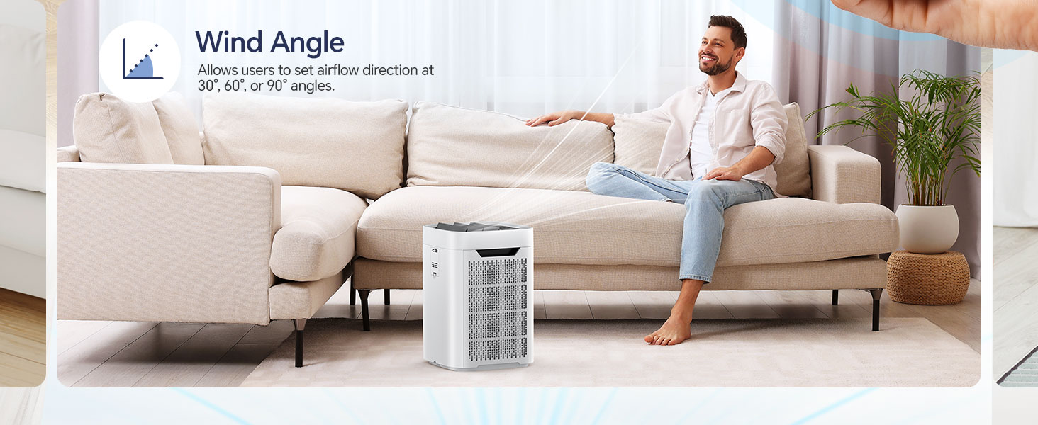 whole home air purifier