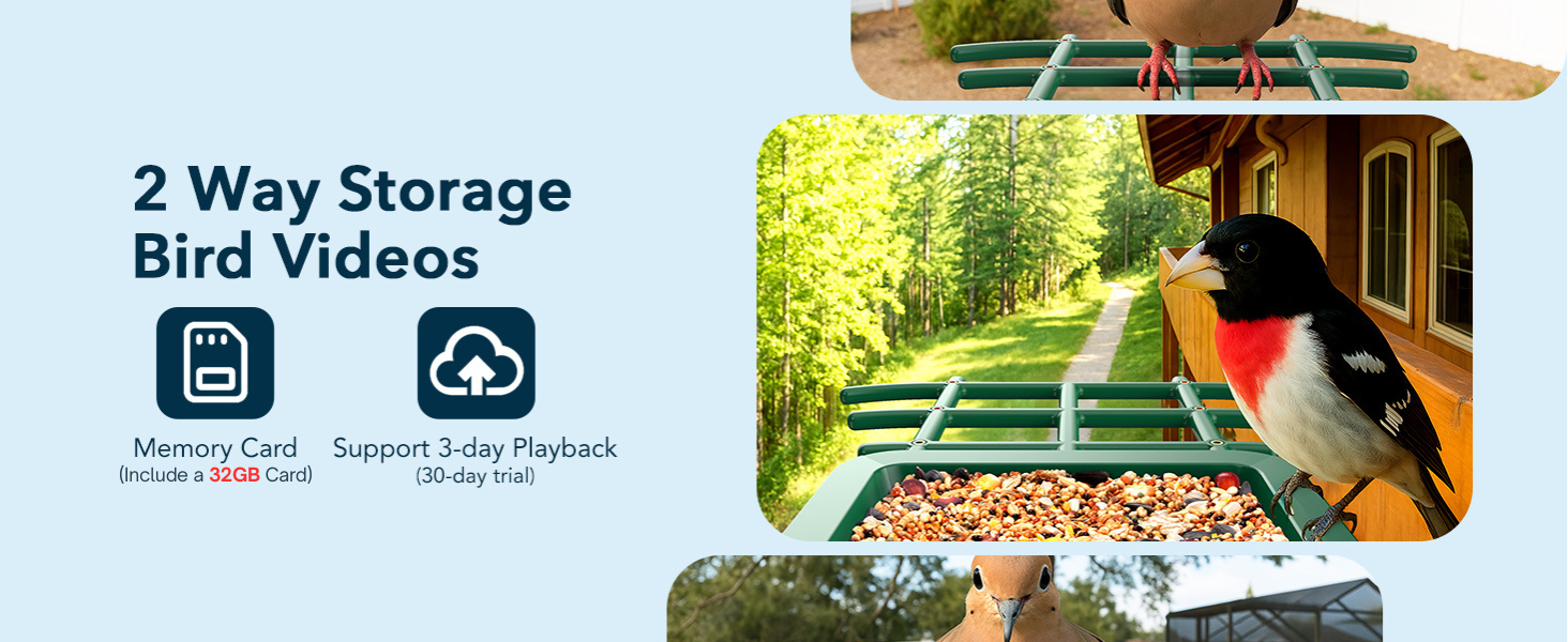 birdhouse with camera