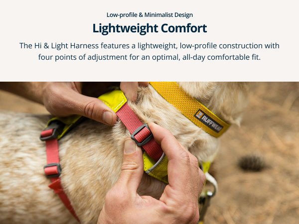 Puppy harness for small dogs, breathable and streamlined for freedom during early training.