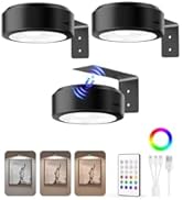 EZVALO Picture Lights for Wall, 2000mAh Rechargeable Battery Magnetic Poster Lights with 3 Color ...