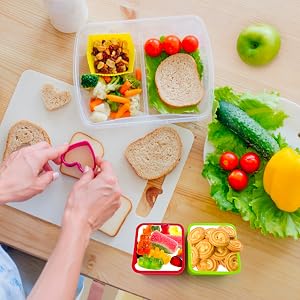 silicone Lunch Bento Boxes for Kids