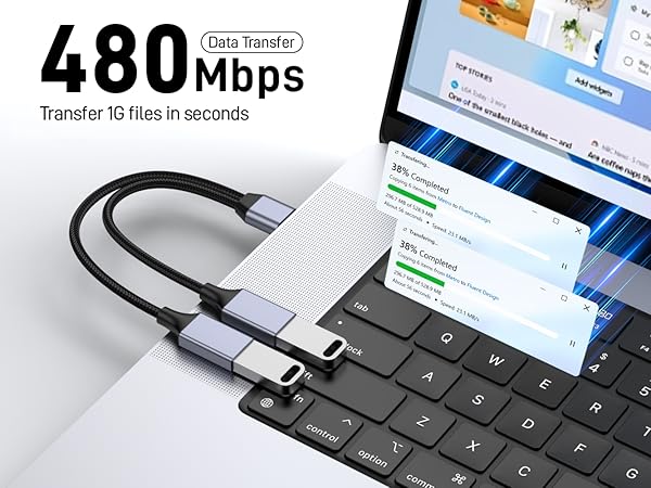 USB Splitter 1 in 2 Out