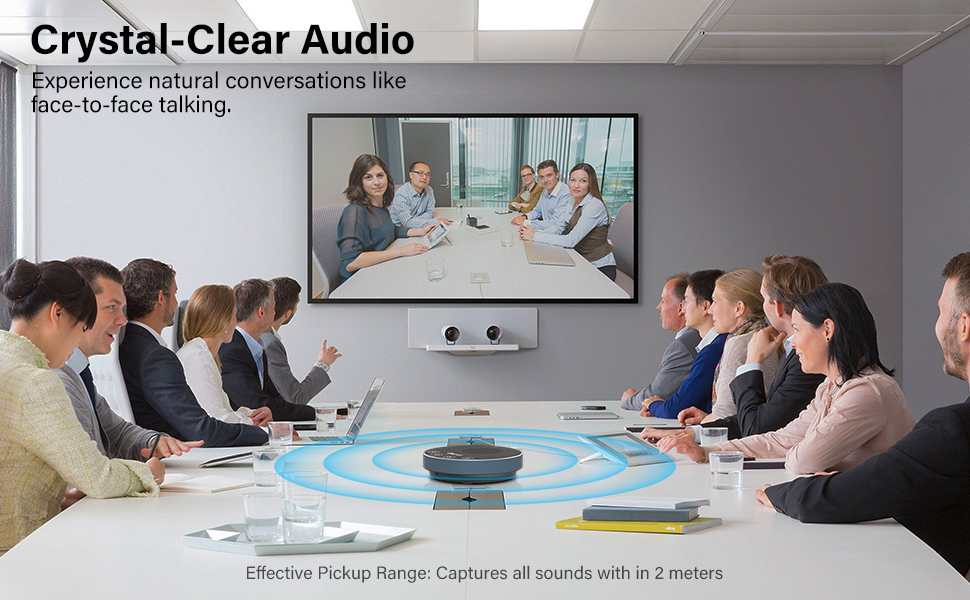 microphone and speaker set