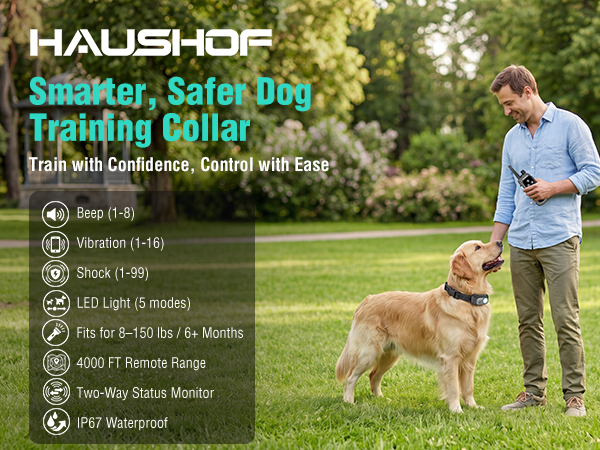 dog training collar