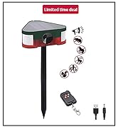 solar chicken coop light motion sensor alarm indoor geese deterrent devices outdoor