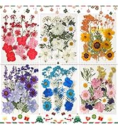 CONVELIFE Dried Flowers for Resin, 103pcs Natural Flowers and Leaves Compressed, Vacuum Packed DI...