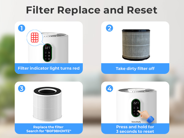 Filter Replace