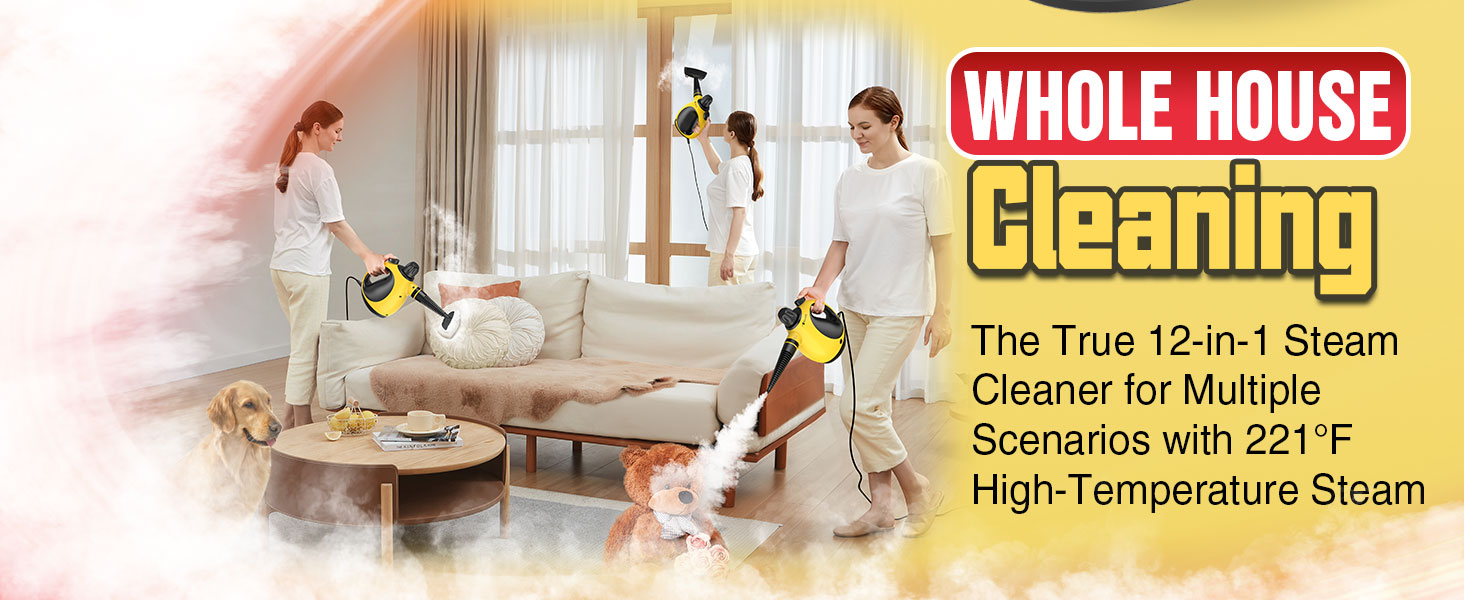 Handheld Steam Cleaner