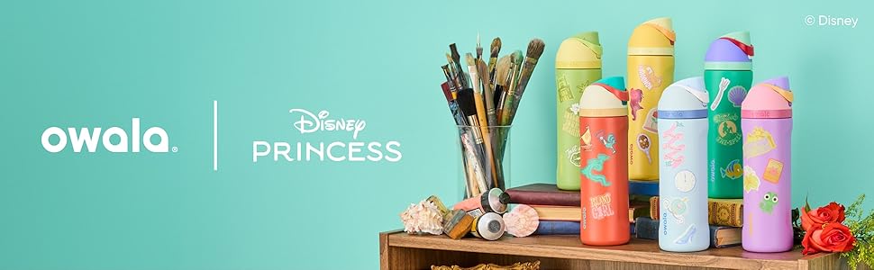Disney Princess Bannner