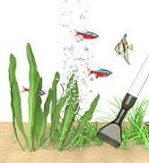 fish tank accessories