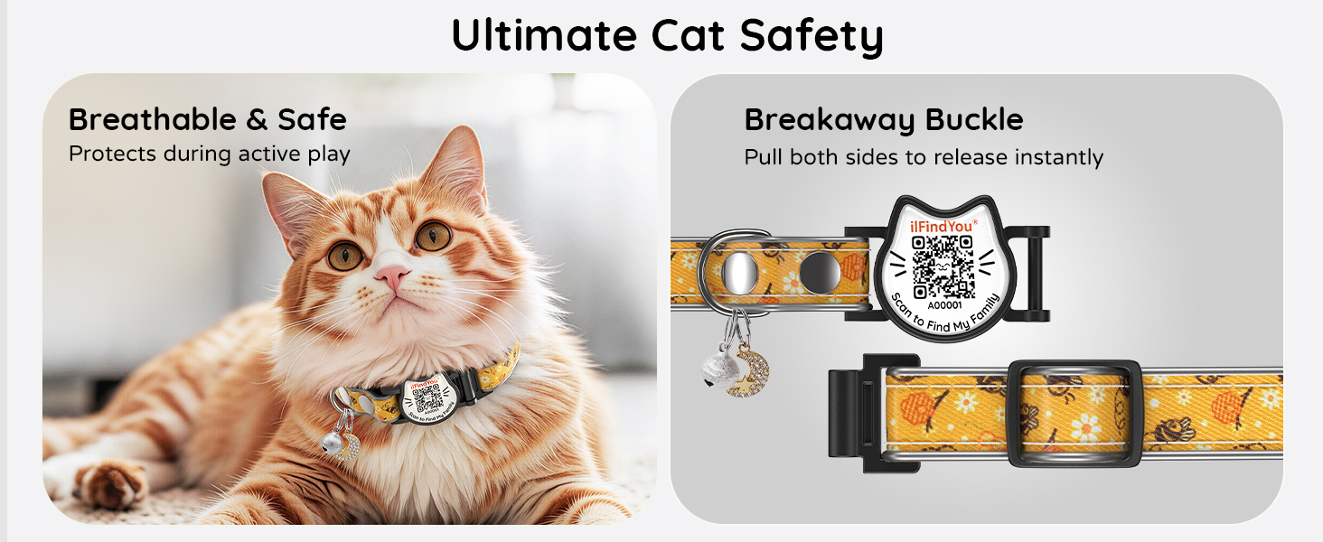 cat collars