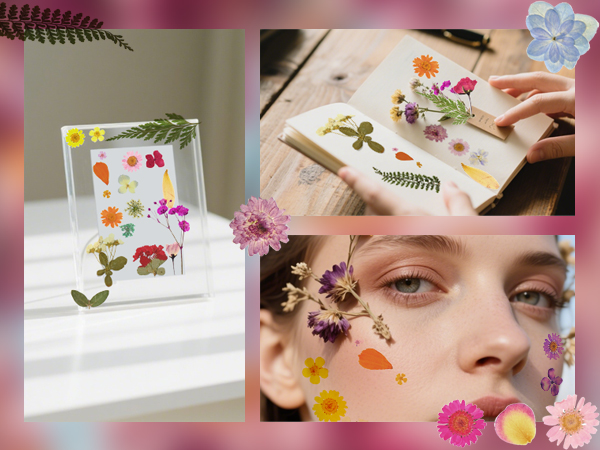 Pressed Flowers