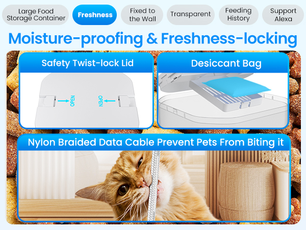 dual automatic cat feeder